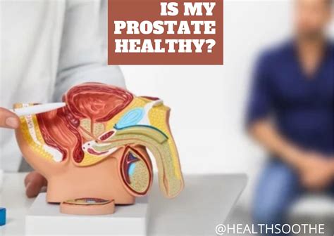 Checking Prostate Health Signs And Tips For Maintaining Wellness