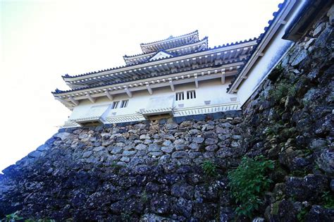 Conquer Kochi Castle｜highlights｜visit Kochi Japan