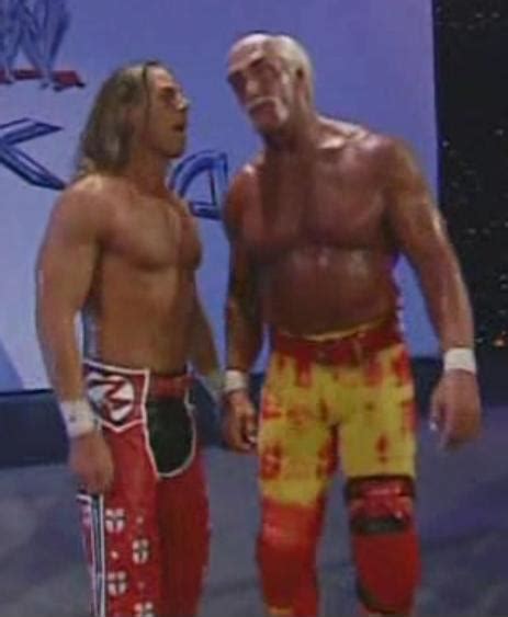Shawn Michaels And Hulk Hogan Pro Wrestling Fandom Powered By Wikia