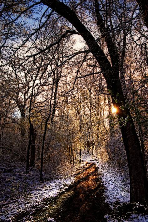 The Path Toward Spring Sunrise After A Snowfall At A Forest Path