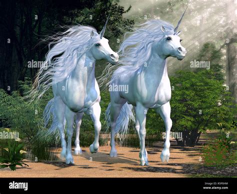 Enchanted Horse Hi Res Stock Photography And Images Alamy