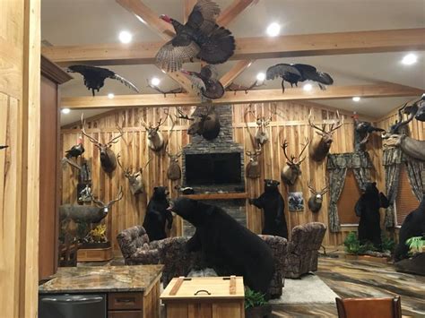 Pin By Anna Carroll Pope On House Hunting Room Trophy Rooms Deer