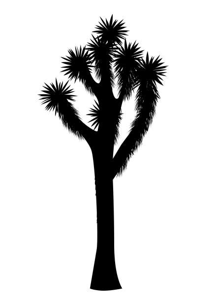 Top Joshua Tree Clip Art Vector Graphics And Illustrations Istock