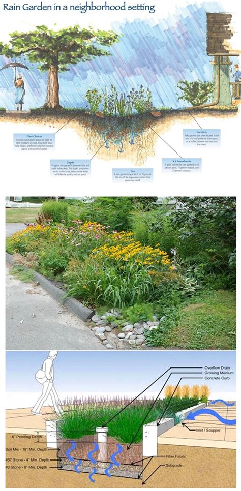 If it's too strong, the water could blow out the garden's vegetation, mulch and soil, or even its structural berm. What is a Rain Garden and how can you Install your Rain ...