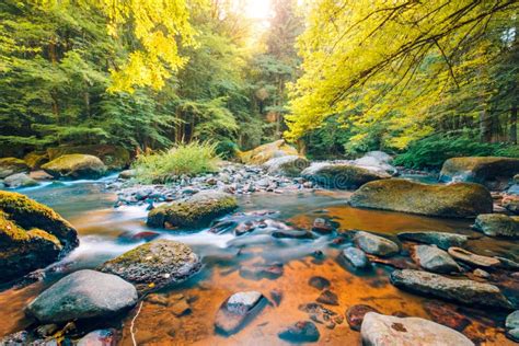 Beautiful Mountain River Stream Sunny Nature Background Of River And