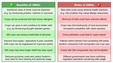 Here Ae Some Pros And Cons About Gmos Nutritional Value Of Food How