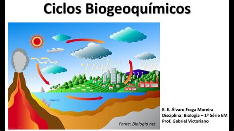 Biologia Ciclos Biogeoquímicos Youtube