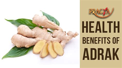 Health Benefits Of Adrak Ginger Dr Preeti Chabbra Ayurveda Expert