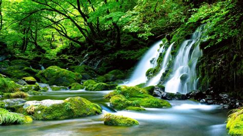 Green Waterfall River Rocks Covered With Green Moss Forest