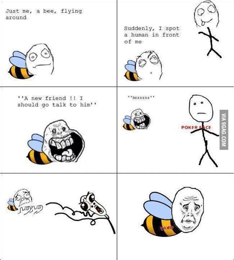 Misunderstood Bee 9gag
