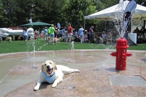 Commercial Splash Pad For Dogs H2o Fido United States Dog Spray
