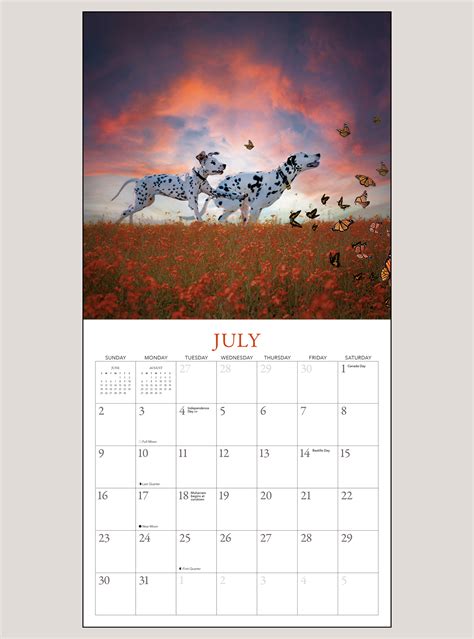 2023 Fantastical Fun With Finlay And Frankie Wall Calendar Shop The