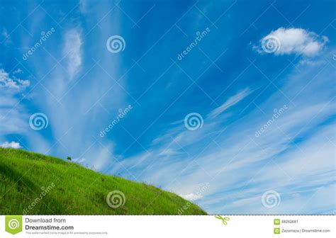 Green Grass And Tiny Tree On The Hill And The Blue Sky With White