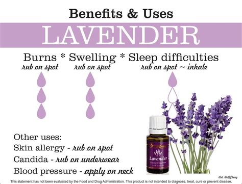 Pin On Lavender Young Living