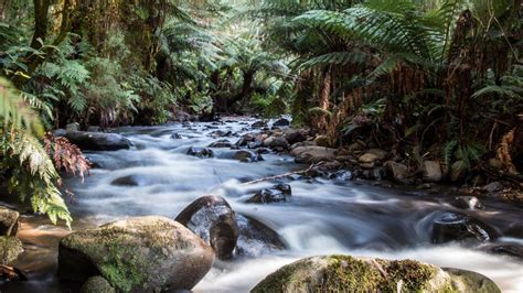 Cement Creek Warburton For 4k Nature Wallpaper Hd