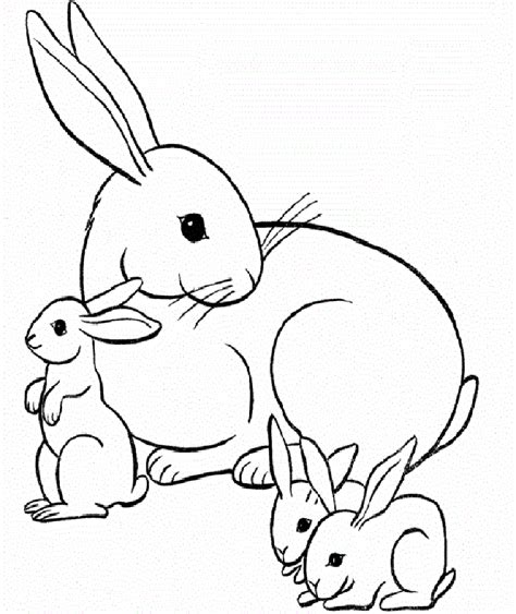 Dibujos Para Pintar De Conejos Bebes Para Colorear Images And Photos