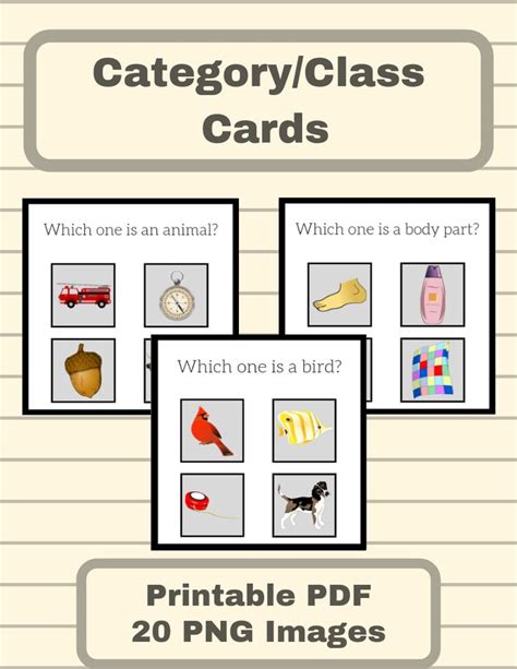 Categories Task Cards For Aba And Speech Therapy Selection By Class