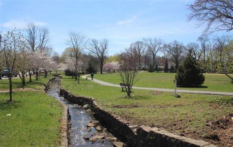 Nutley Rotary To Clean Nichols Park As Part Of World Water Day Efforts