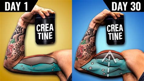 Creatine Before And After Discover What Happens When You Take It For