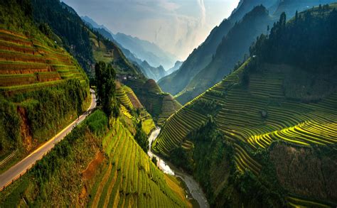 Rice Paddy Terraces Valley Vietnam Mountain Road Mist River