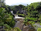 Explore the Kipahulu District of Haleakala National Park