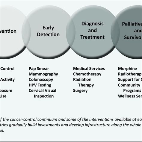 Cancer Care Continuum Download Scientific Diagram