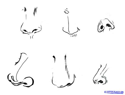 How to draw female anime noses. How To Draw Noses | how-to-draw-realistic-noses,-draw-noses-step-15.jpg | Dibujos, Dibujo lineal ...