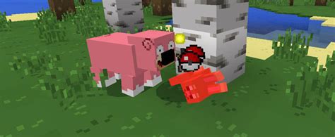We did not find results for: PokeAddon | Minecraft PE Mods & Addons
