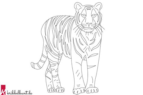 Ausmalbild Tiger Zum Ausdrucken Als PDF Kribbelbunt