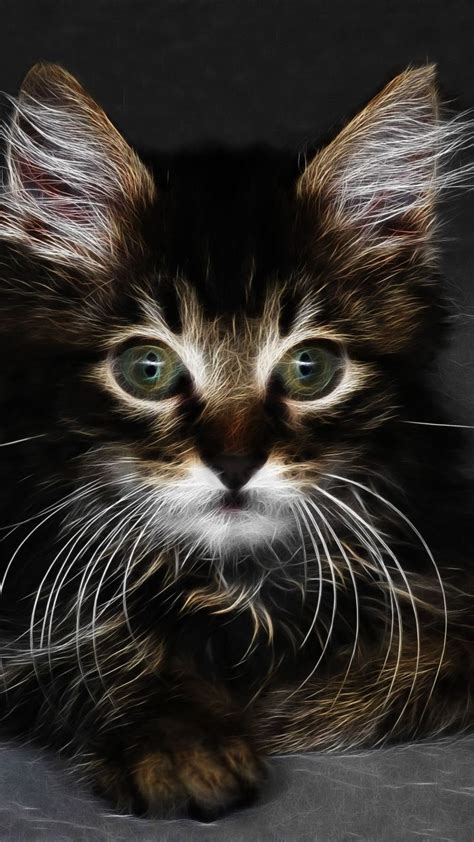 Digital Art Adorable Kitten Cat 720x1280 Wallpaper Adorable Kitten