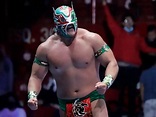Gran Guerrero: Profile & Match Listing - Internet Wrestling Database (IWD)