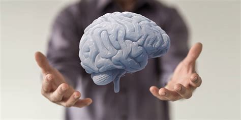 Dependemos Del Cerebro En Cada Instante Claves Para Preservar Su Salud