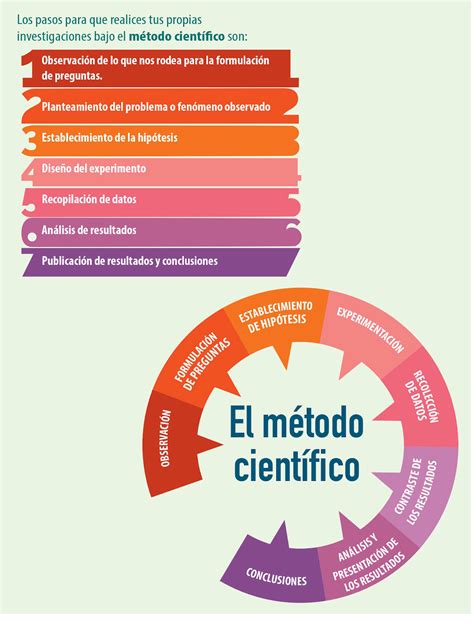 Etapas Del Método Científico ¿quieres Saber Cuantas Son Y Como Aplican