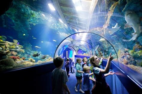 Home Hastings Aquarium