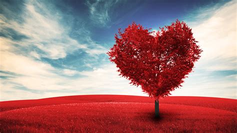 Picture Valentines Day Heart Nature Trees 1920x1080