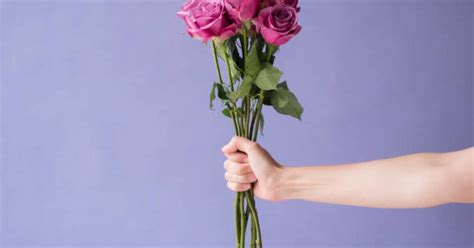 por qué se regalan flores moradas el 9 de noviembre