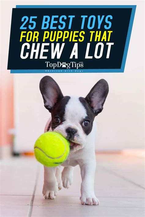 Kong is widely revered for its pet products and for good the petstages 126 dog chew toy is one of the best chew toys for teething puppies for the money. Top 25 Best Puppy Toys for Teething and Dogs That Chew A Lot (2018)