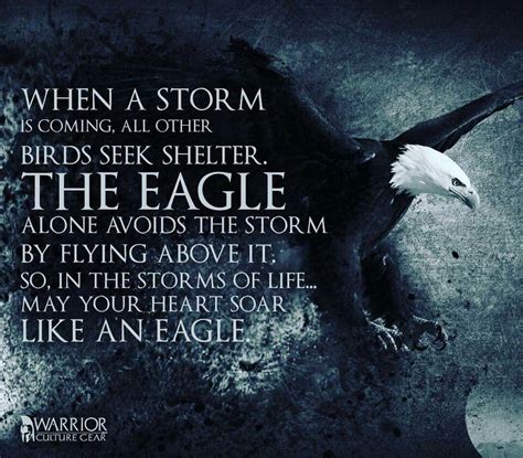Soar Like A Eagle The Great Quotes Eagle Wise Words