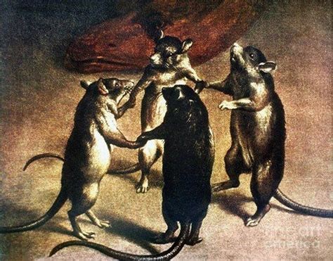 ferdinand von kessel rats dancing at the time of the plague oil on canvas 17th century städel