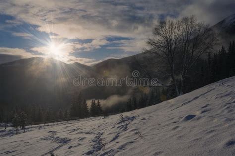 Beautiful Winter Landscape With Rising Sun Stock Photo Image Of