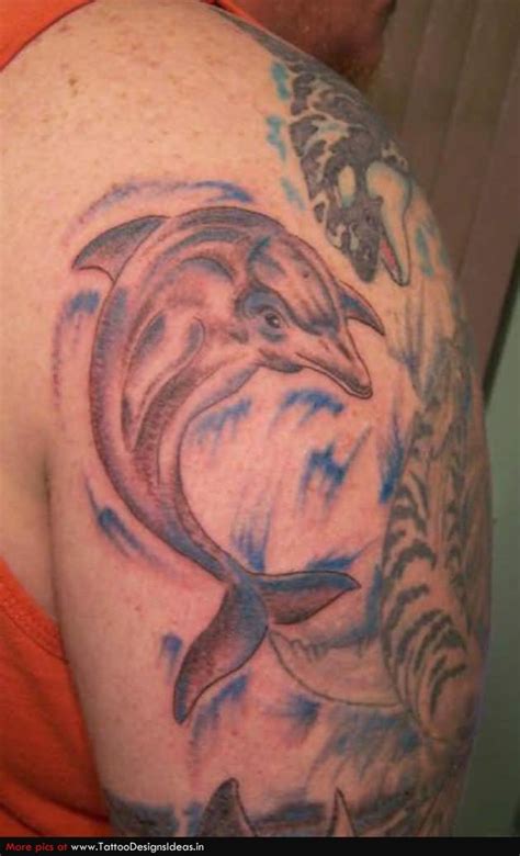 Beautiful Dolphin Tattoo On Right Shoulder