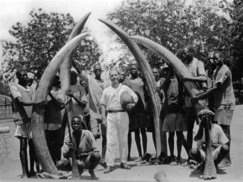 Trophy Hunting Carnal Desires And The Legacies Of Colonial