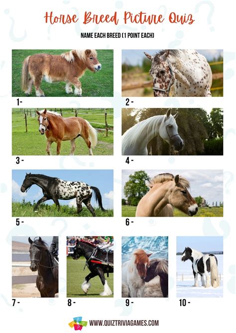 35 Horse Breed Quiz Questions And Answers Picture Quiz Quiz