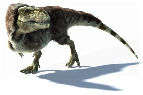 Tyrannosaurus Prehistoric Earth Wiki Fandom Powered By Wikia