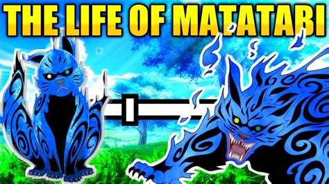🦅 The Life Of Matatabi Two Tailed Monster Cat Naruto Youtube