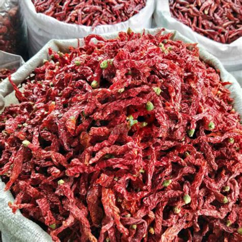 Szechuan Dried Chili Dry Peppers Sichuan Red Chilli Erjingtiao Pepper