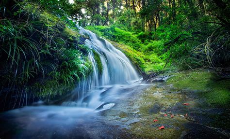Desktop Hintergrundbilder Thailand Natur Wasserfall Strauch