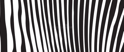 Wild Zebra Wave Pattern With Black And White Trendy Stylish Abstract