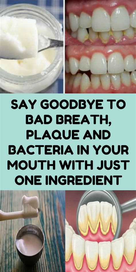 say goodbye to bad breath plaque and bacteria in your mouth with just one ingredient health