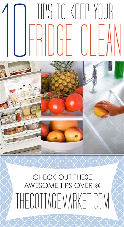 It will help you get the most out of your precious pieces. 10 Tips to Keep Your Fridge Clean - The Cottage Market